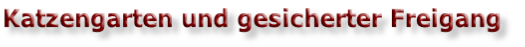 Katzengarten und gesicherter Freigang