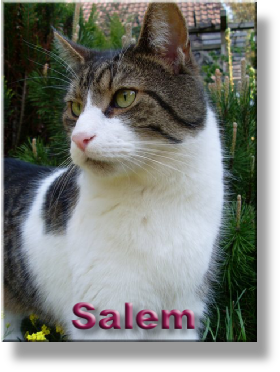 Salem